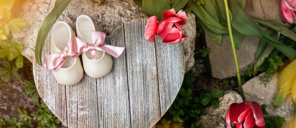 This image has an empty alt attribute; its file name is pexels-andre-furtado-2617102-1-1024x445.jpg